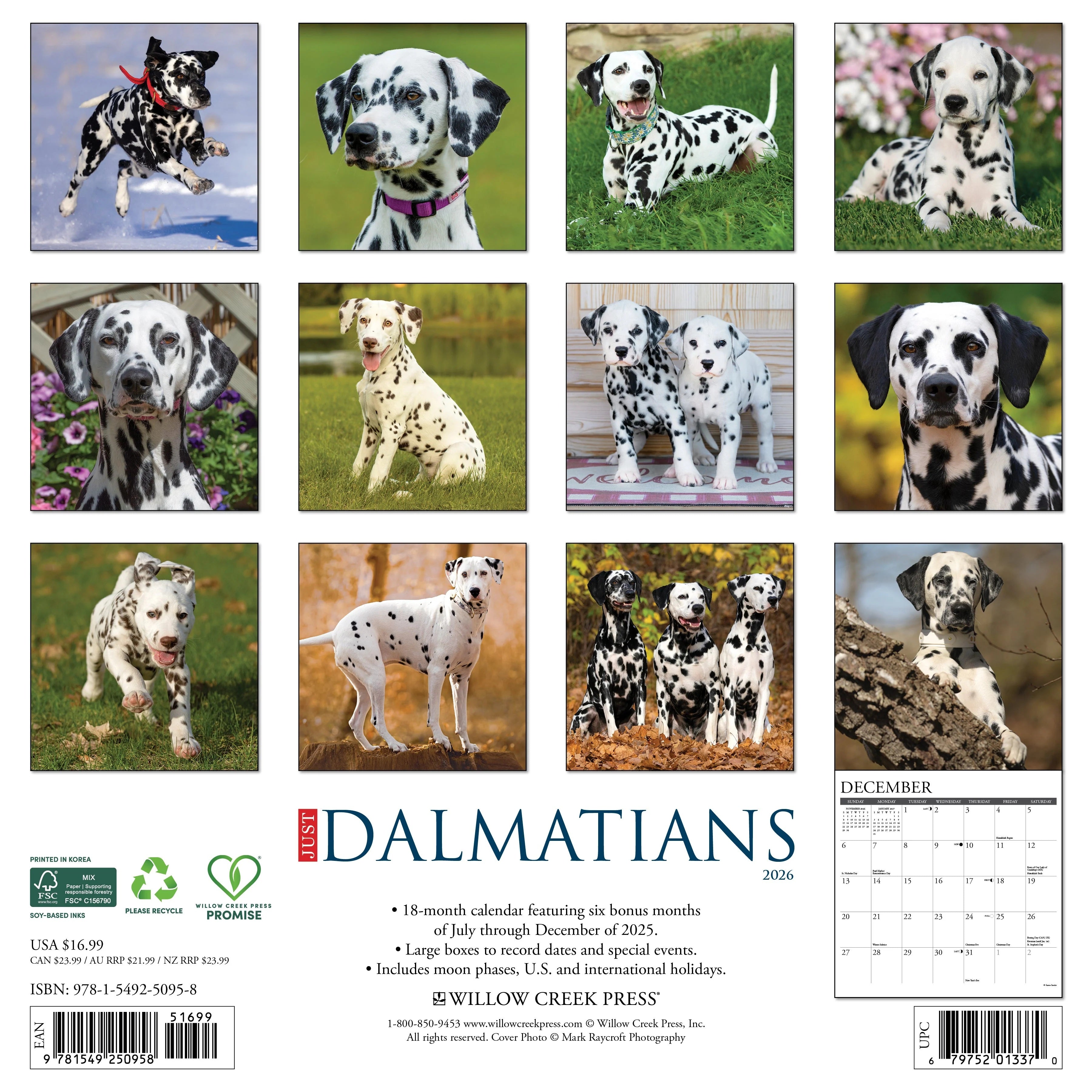 2026 Dalmatians Wall Calendar 9781549250958