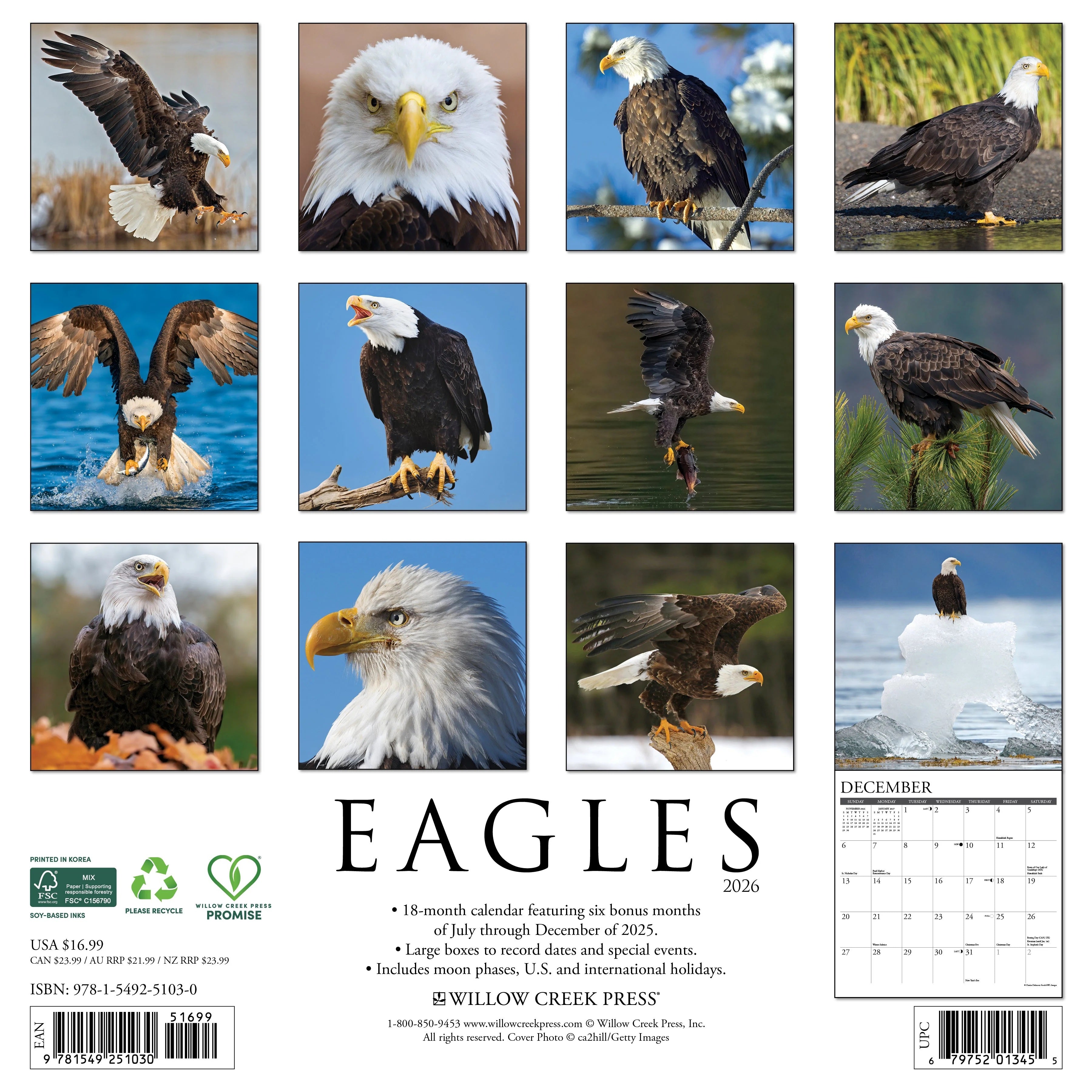 2026 Eagles Wall Calendar 9781549251030