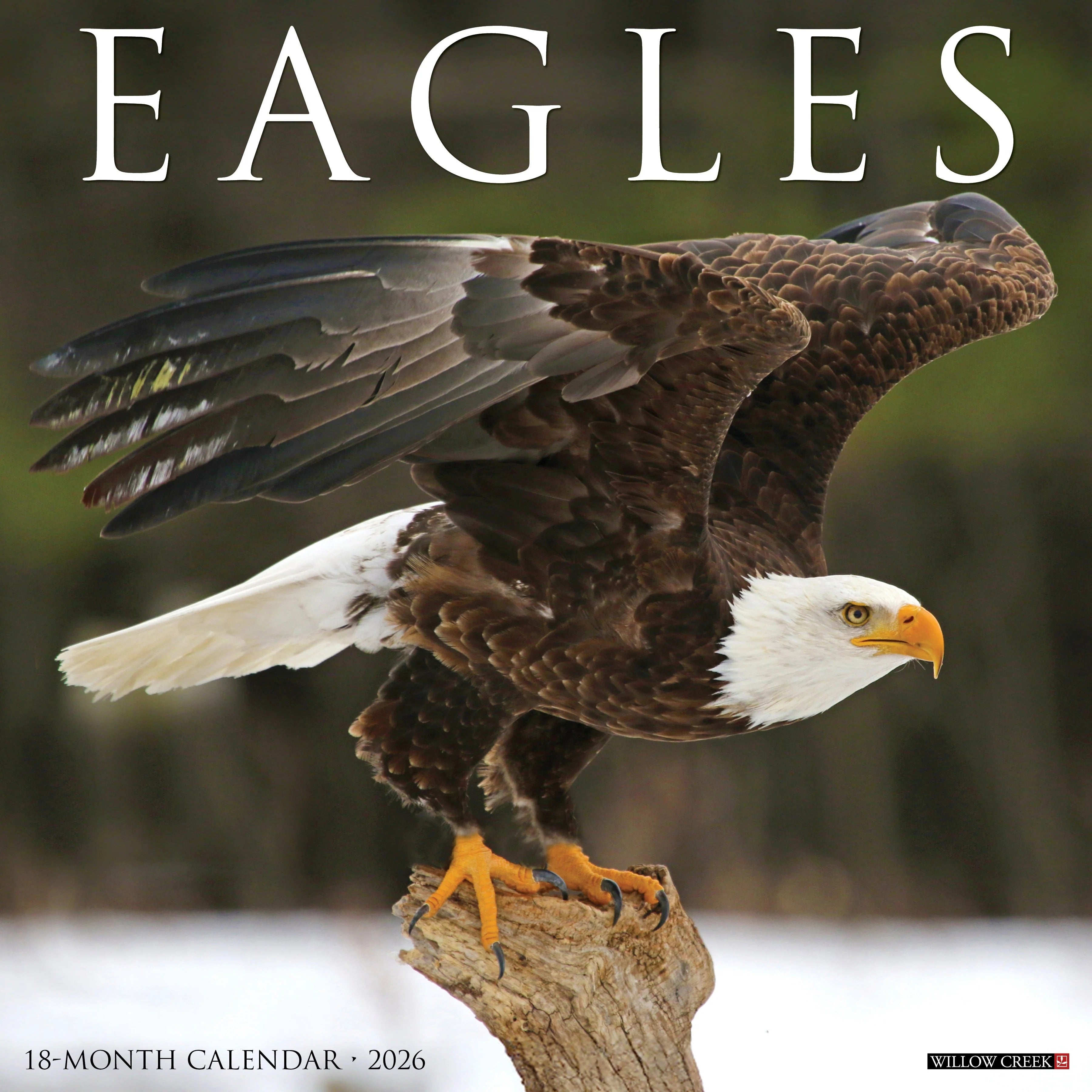2026 Eagles Wall Calendar 9781549251030_6ea4e210-0b61-48fa-9191-72707d8ea536