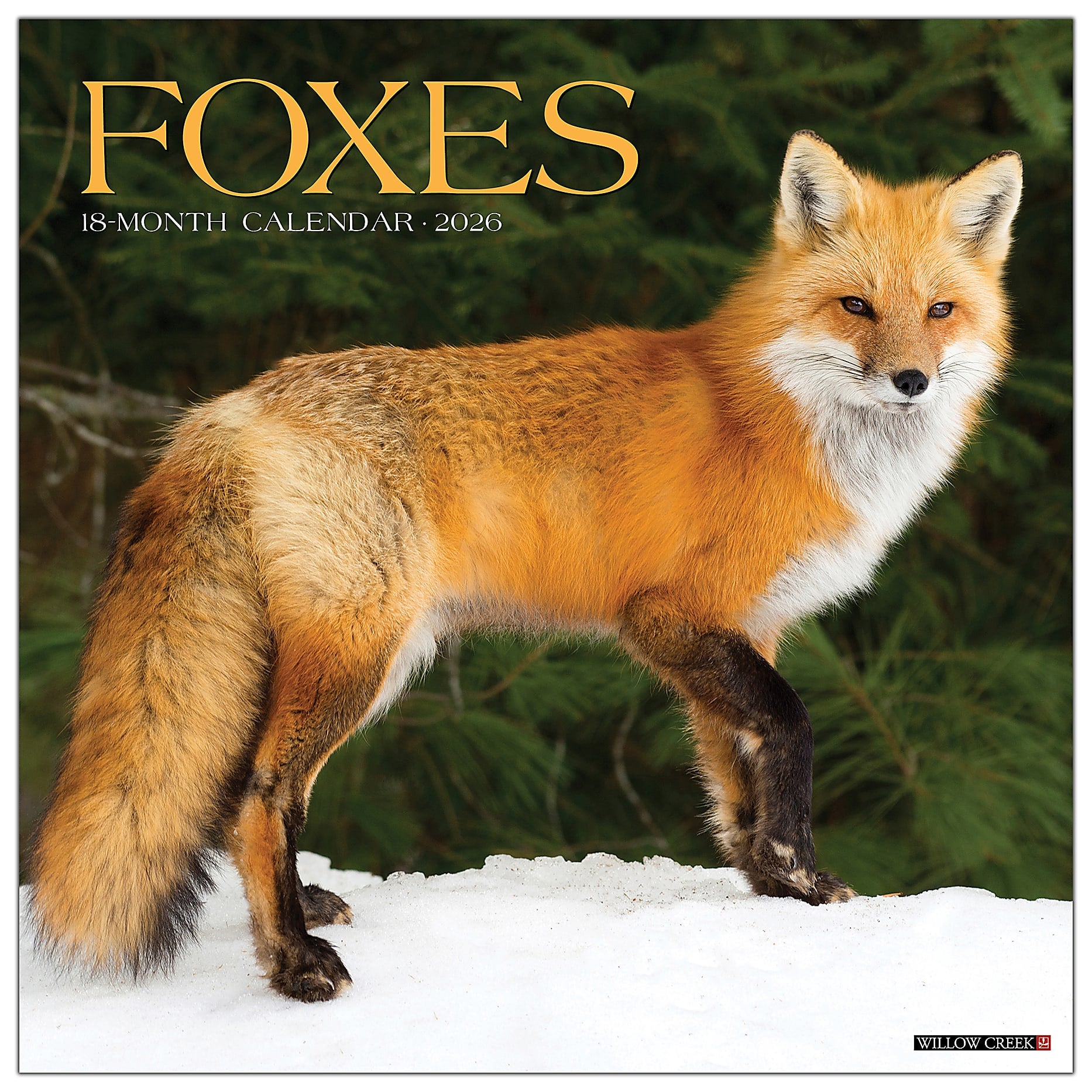 2026 Foxes Wall Calendar 9781549251146