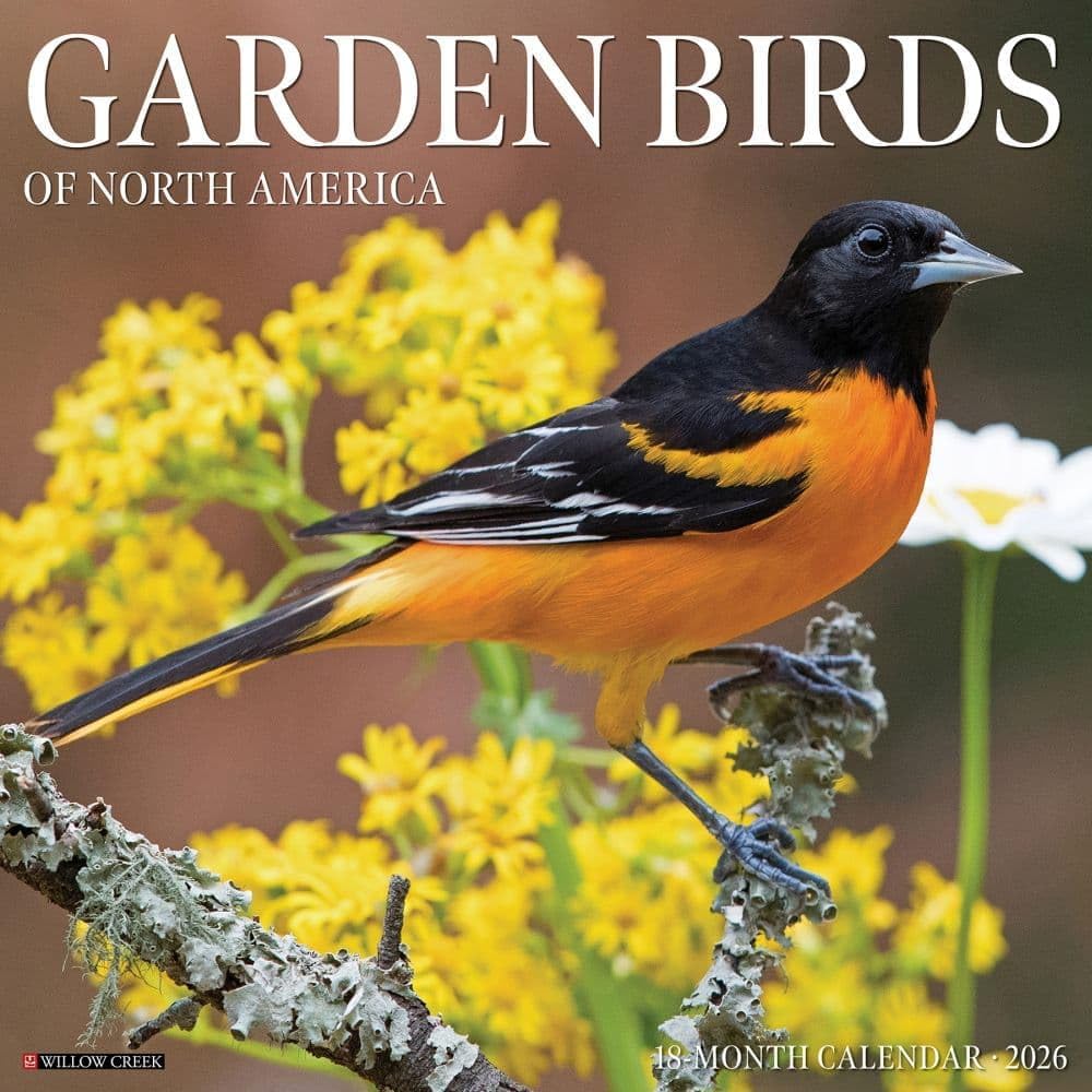 2026 Garden Birds Of North America Wall Calendar 9781549251184