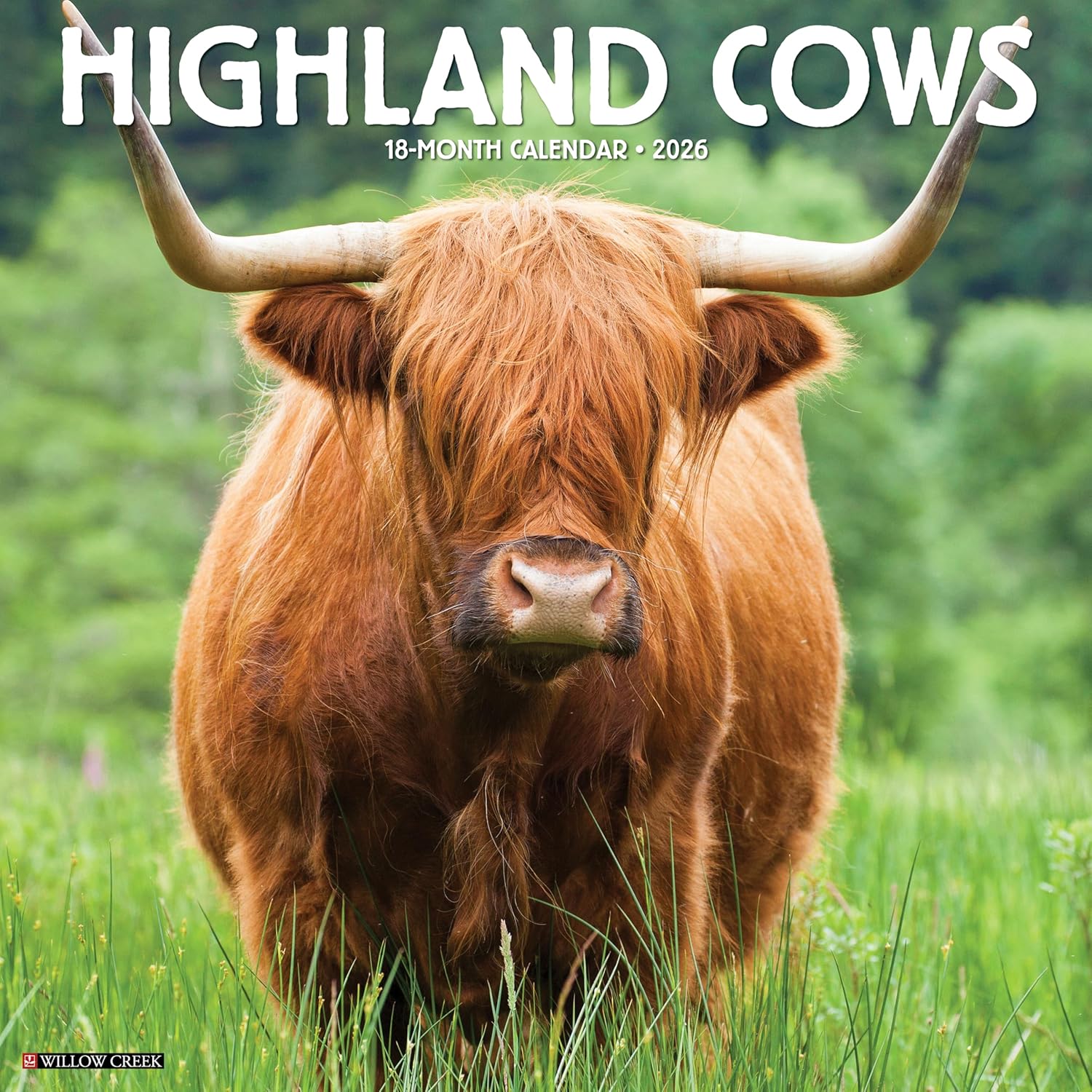 2026 Highland Cows Wall Calendar 9781549251474