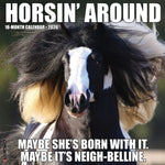 2026 Horsin’ Around Wall Calendar 9781549251511_7256fb2f-0615-4a67-bcb0-884a35733d20
