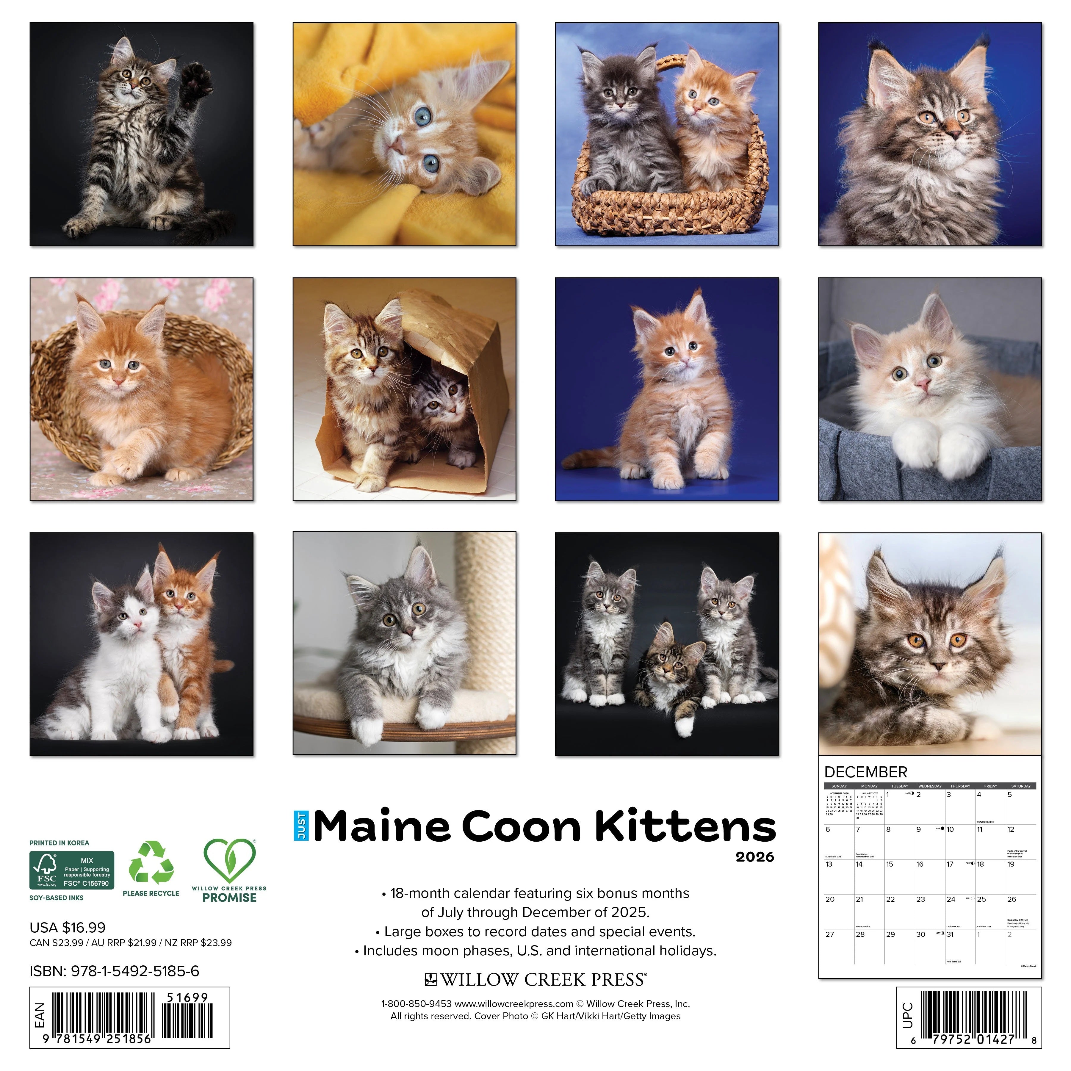 2026 Maine Coon Kittens Wall Calendar 9781549251856