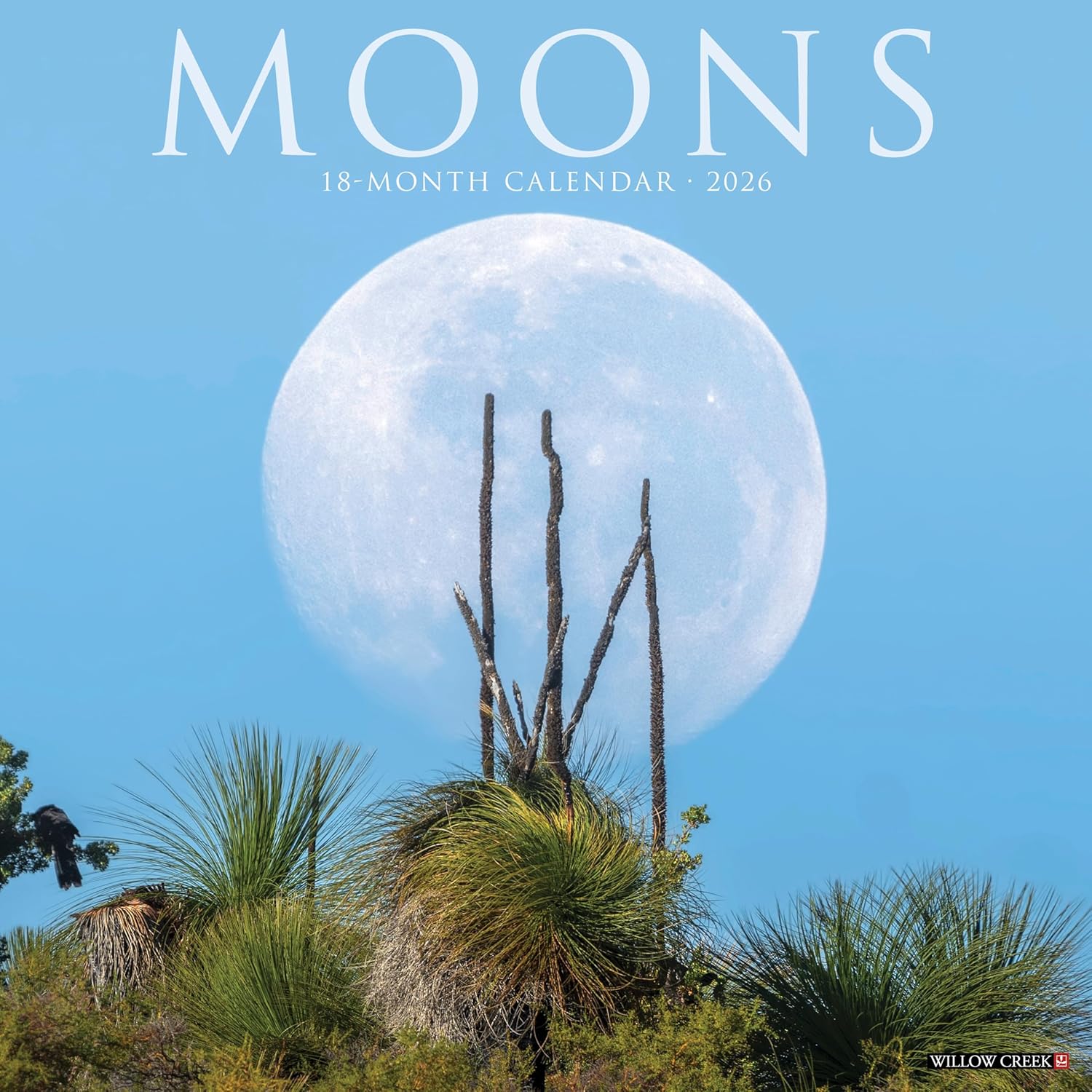 2026 Moons Wall Calendar 9781549252013