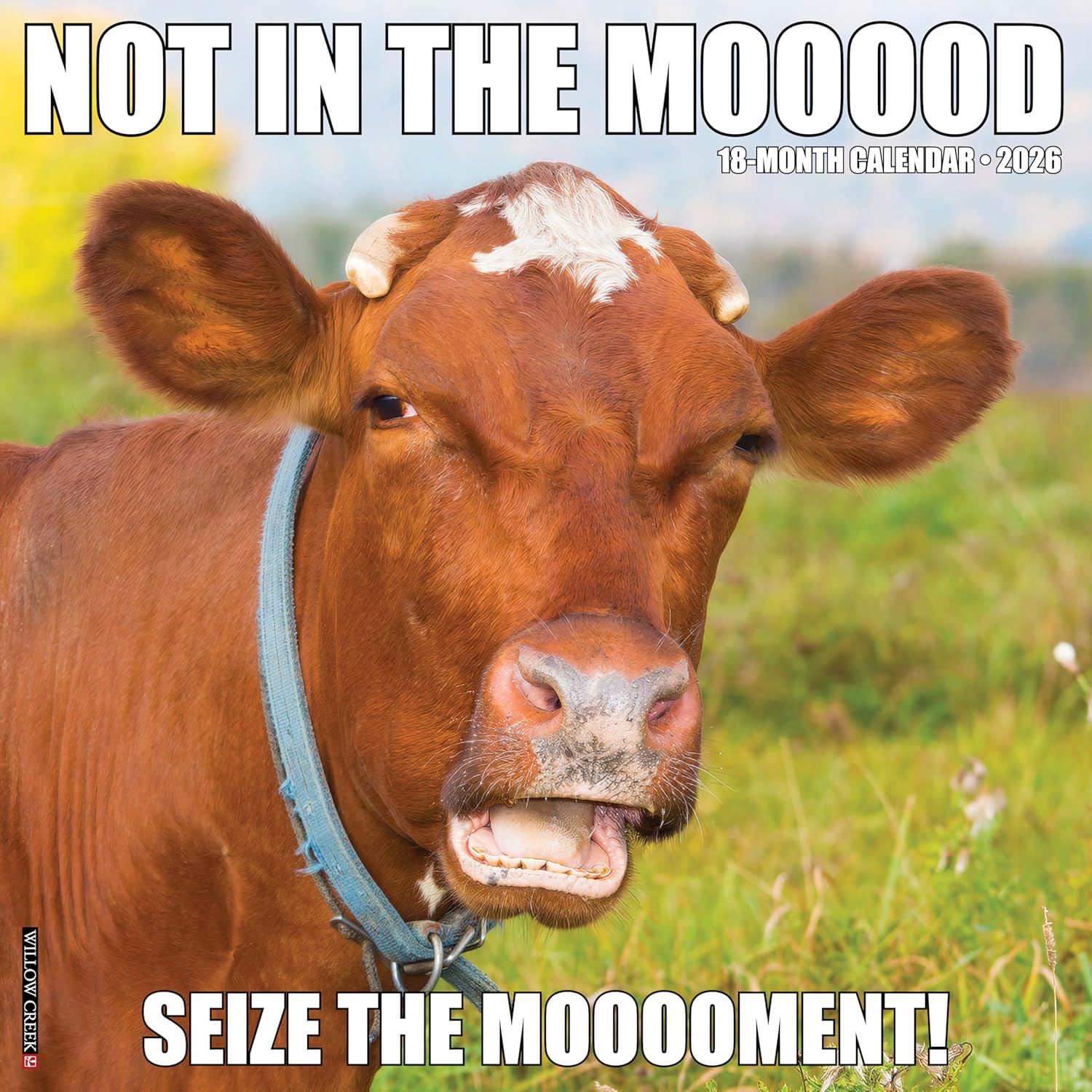 2026 Not In The Mooood Wall Calendar 9781549252211