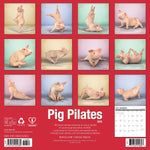 2026 Pig Pilates Wall Calendar 9781549252389