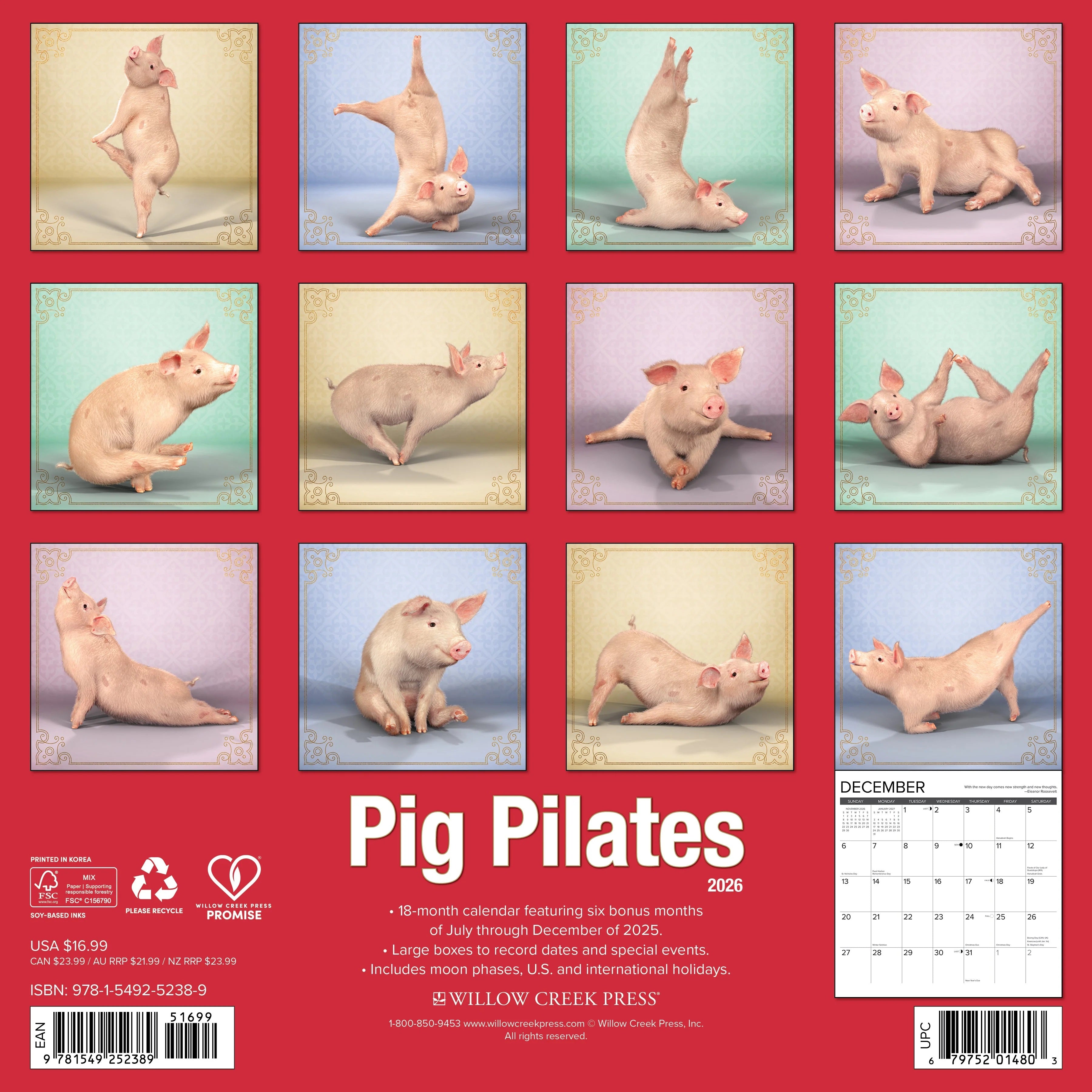 2026 Pig Pilates Wall Calendar 9781549252389