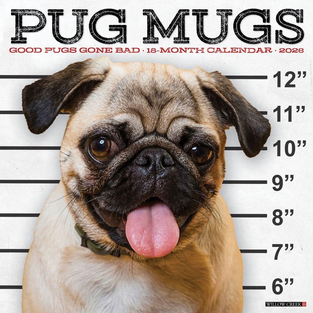 2026 Pug Mugs 12X12 Wall Calendar 9781549252488
