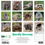 2026 Rascally Raccoons Wall Calendar 9781549252570