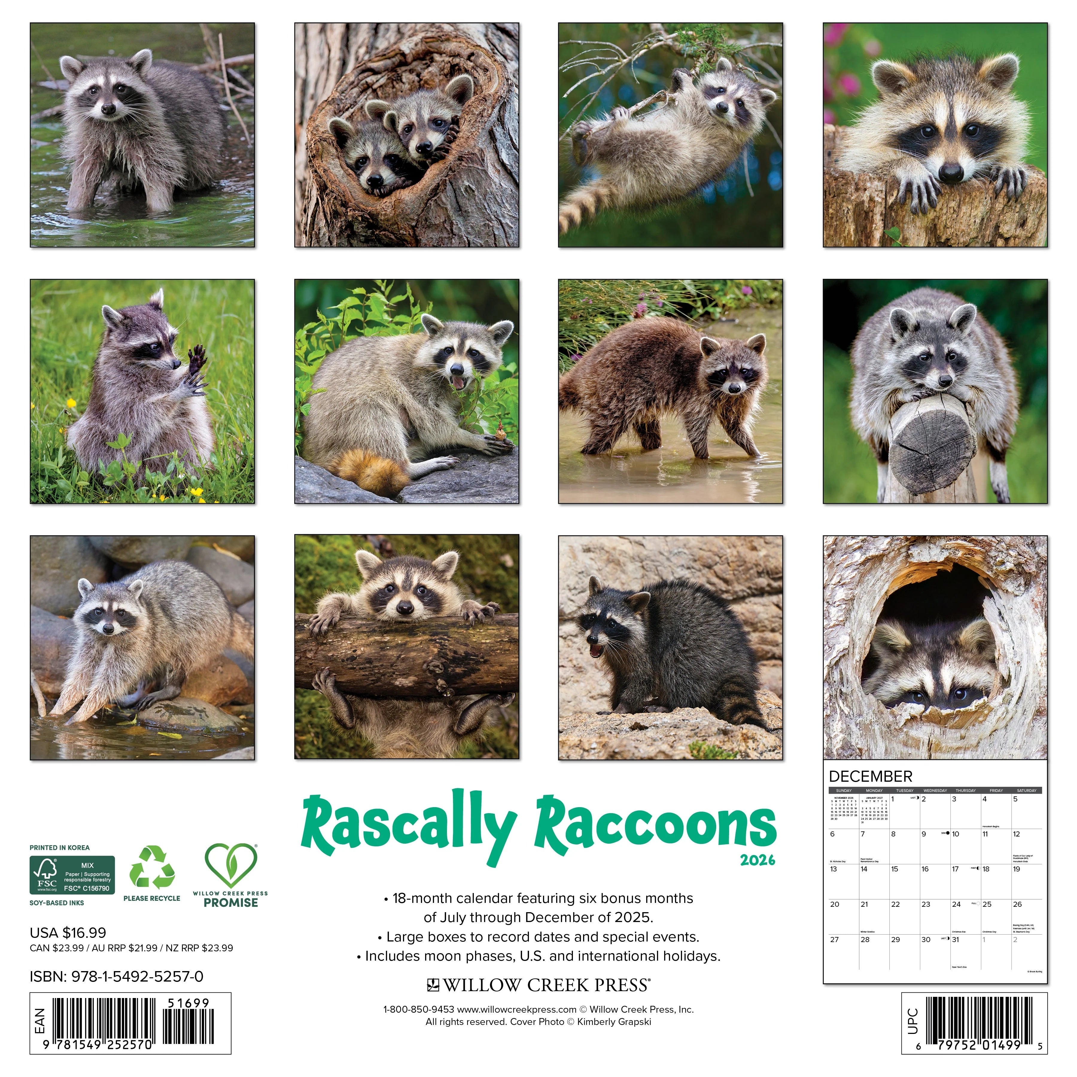 2026 Rascally Raccoons Wall Calendar 9781549252570