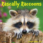 2026 Rascally Raccoons Wall Calendar 9781549252570_1409f970-e304-468b-9b4a-50478cd7a4c6
