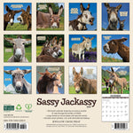 2026 Sassy Jackassy Wall Calendar 9781549252655_989d2ffc-6346-459a-a986-0dda232a0e00