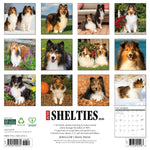 2026 Shelties Wall Calendar 9781549252761_ff672e3e-28b7-41fb-b3cf-adbc62010075