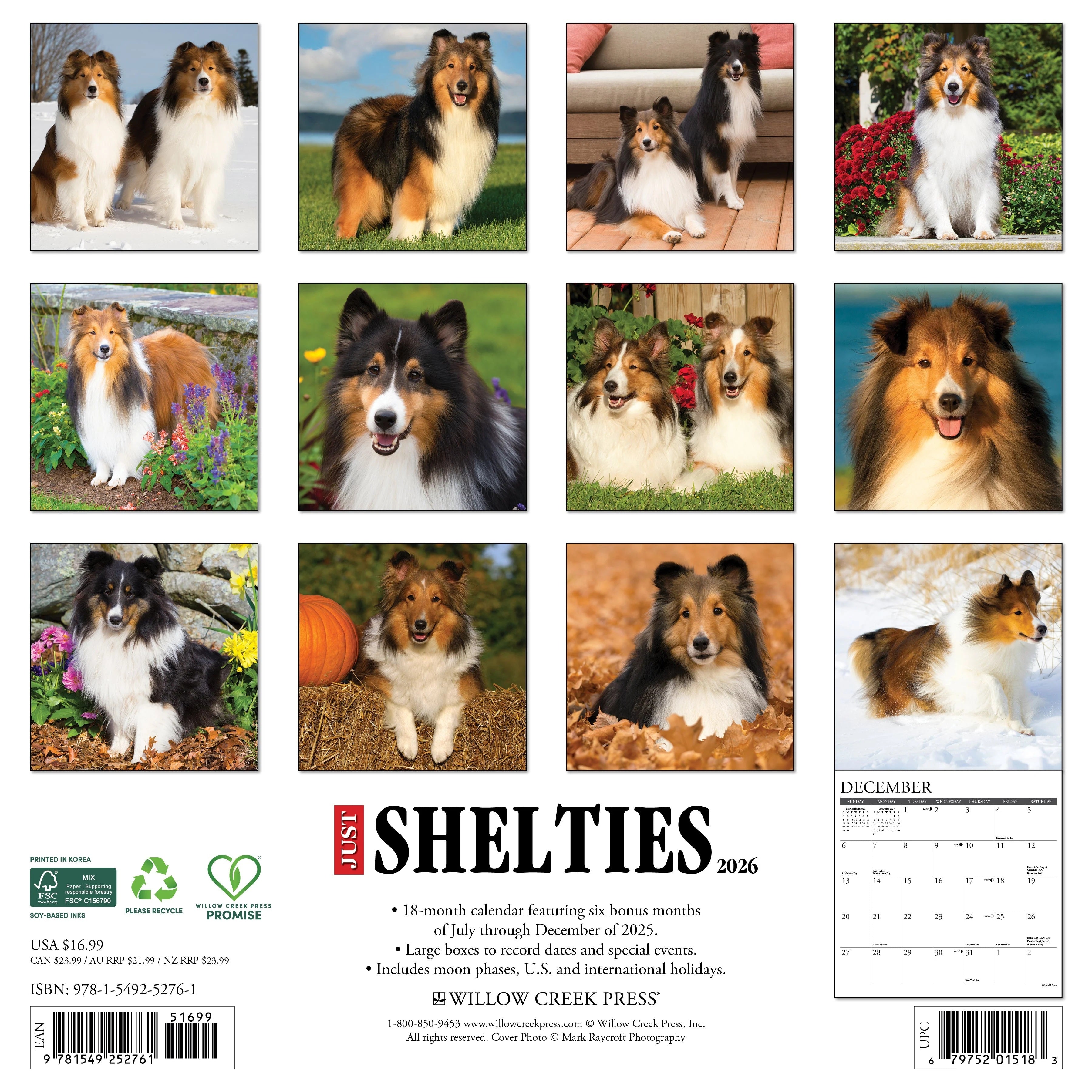 2026 Shelties Wall Calendar 9781549252761_ff672e3e-28b7-41fb-b3cf-adbc62010075