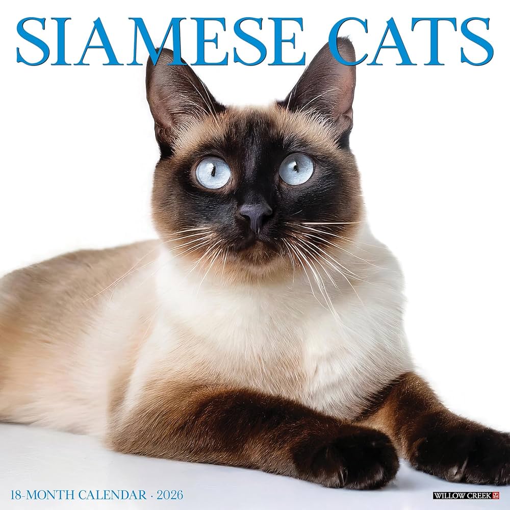 2026 Siamese Cats Wall Calendar 9781549252785