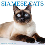 2026 Siamese Cats Wall Calendar 9781549252785