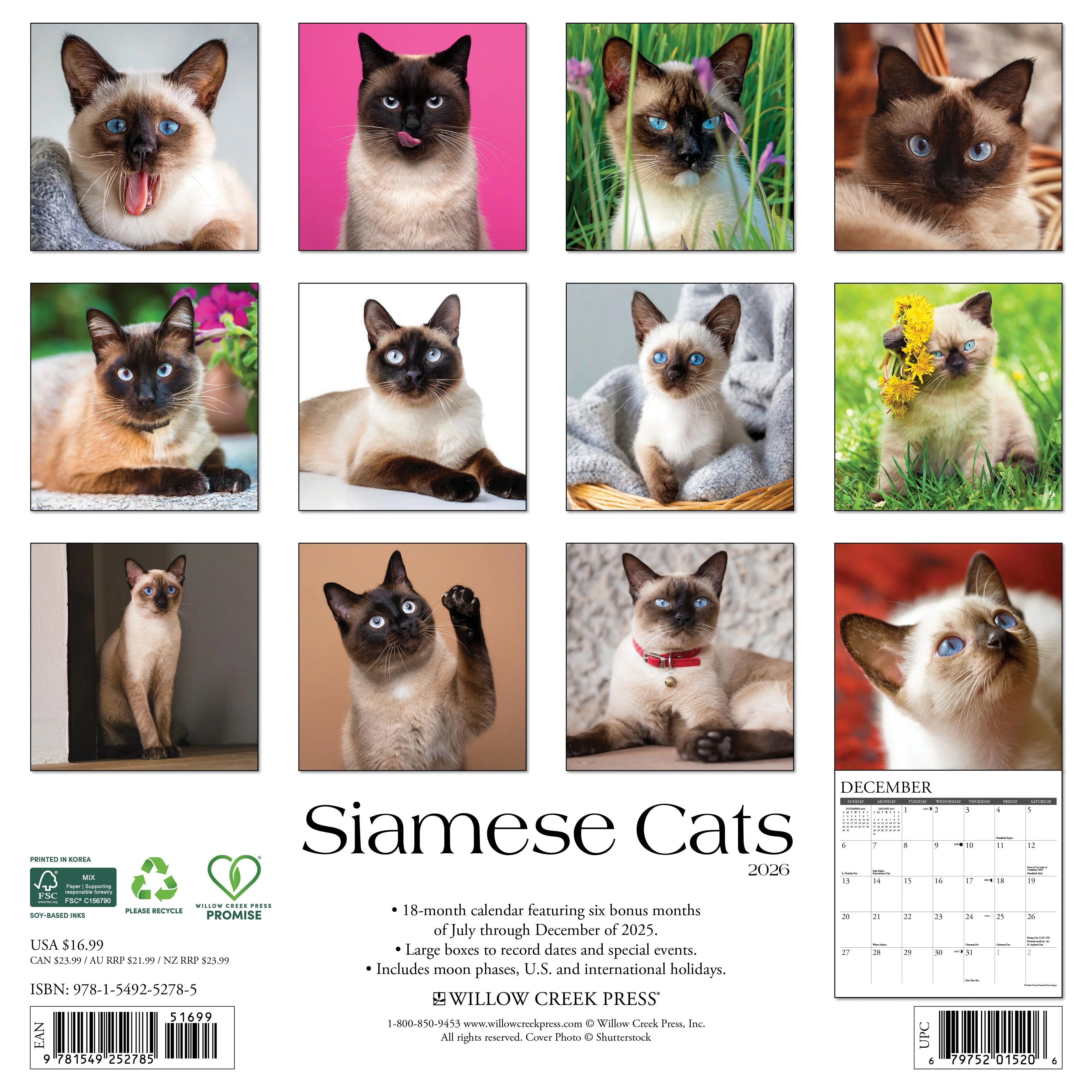 2026 Siamese Cats Wall Calendar 9781549252785_f32d8868-a153-4b0d-aa65-2f341e759f15