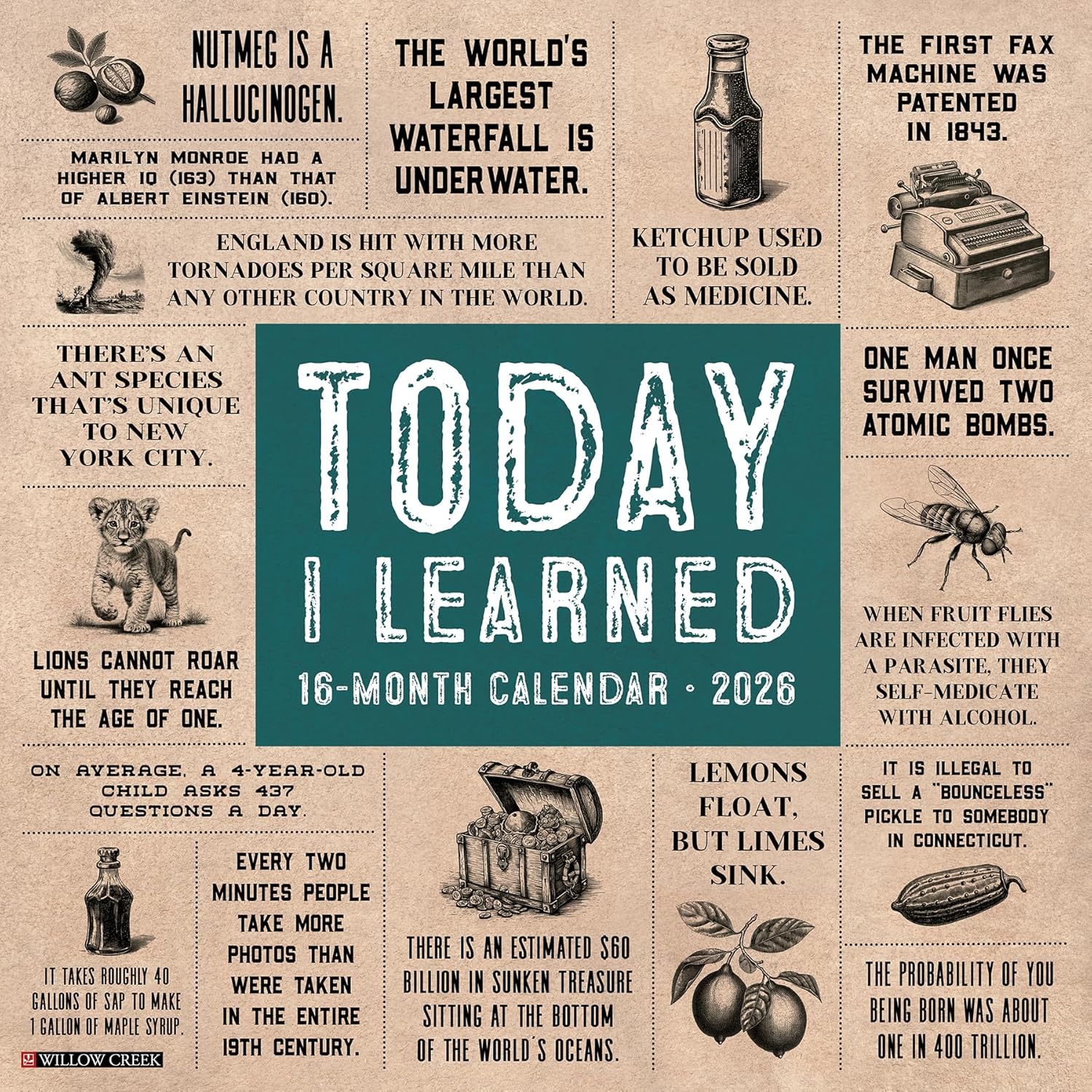2026 Today I Learned Wall Calendar 9781549252976