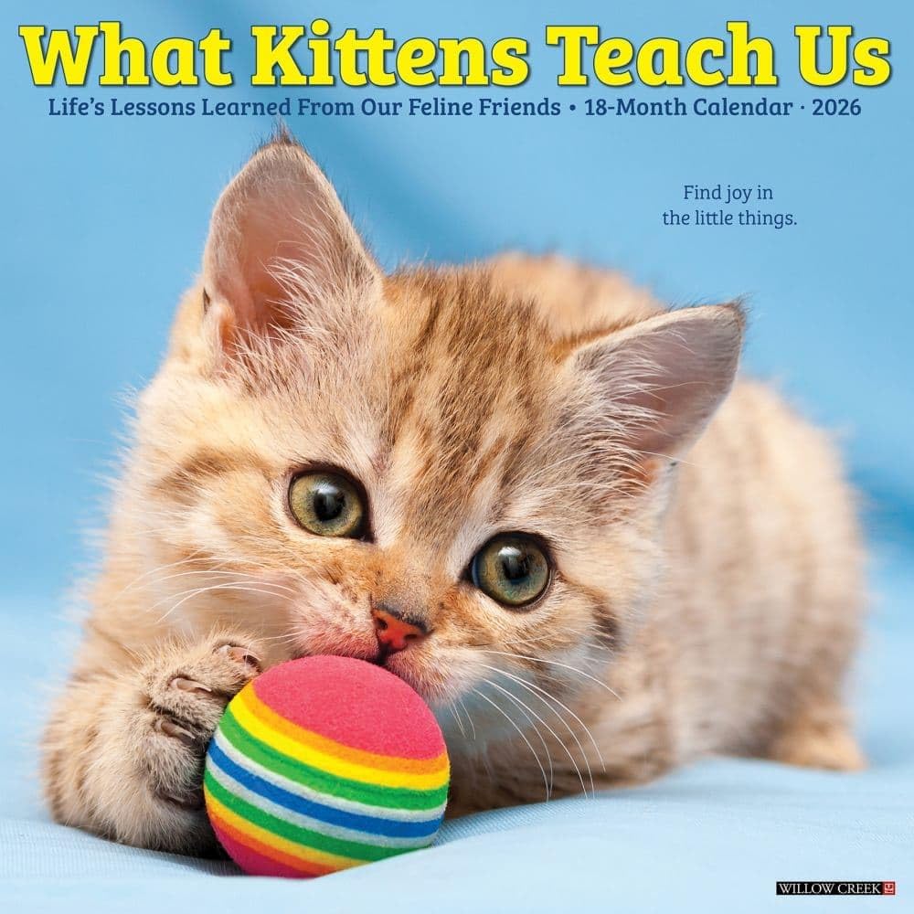 2026 What Kittens Teach Us Wall Calendar 9781549253201