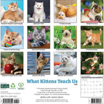 2026 What Kittens Teach Us Wall Calendar 9781549253201_f7cd5345-7ef2-49c1-aaa4-954eac8b20a2