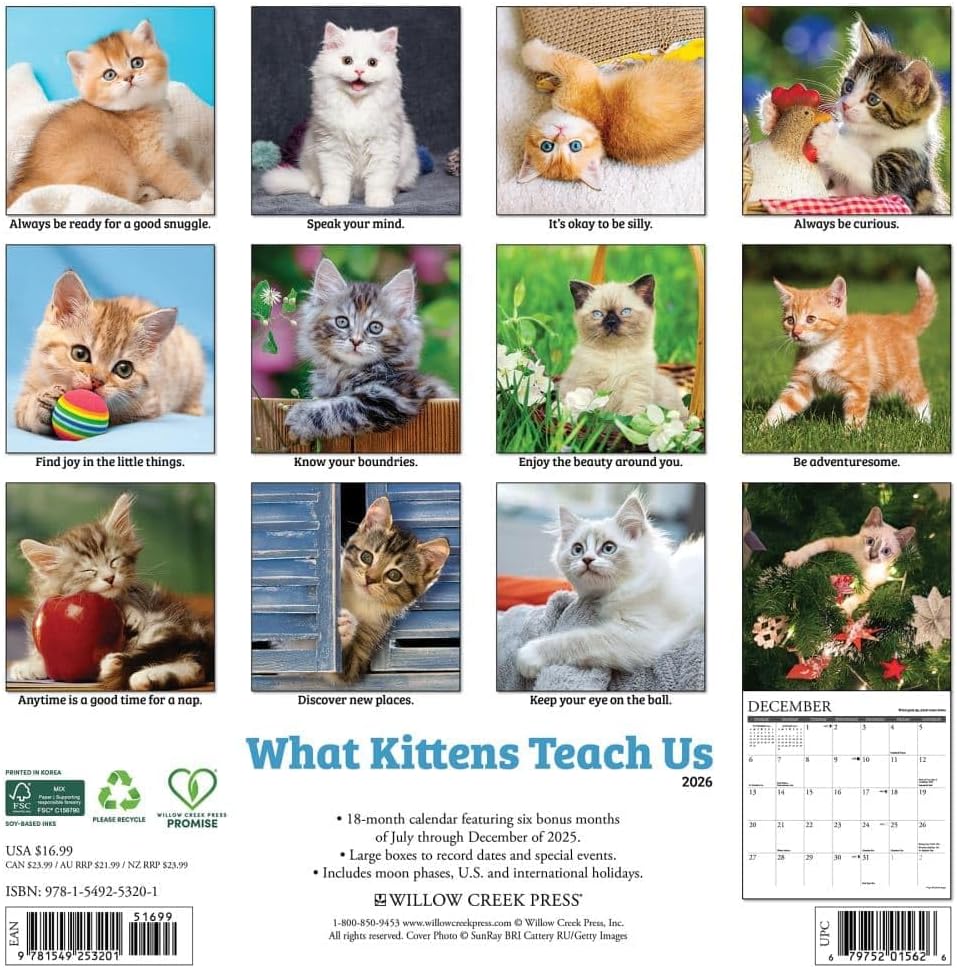 2026 What Kittens Teach Us Wall Calendar 9781549253201_f7cd5345-7ef2-49c1-aaa4-954eac8b20a2