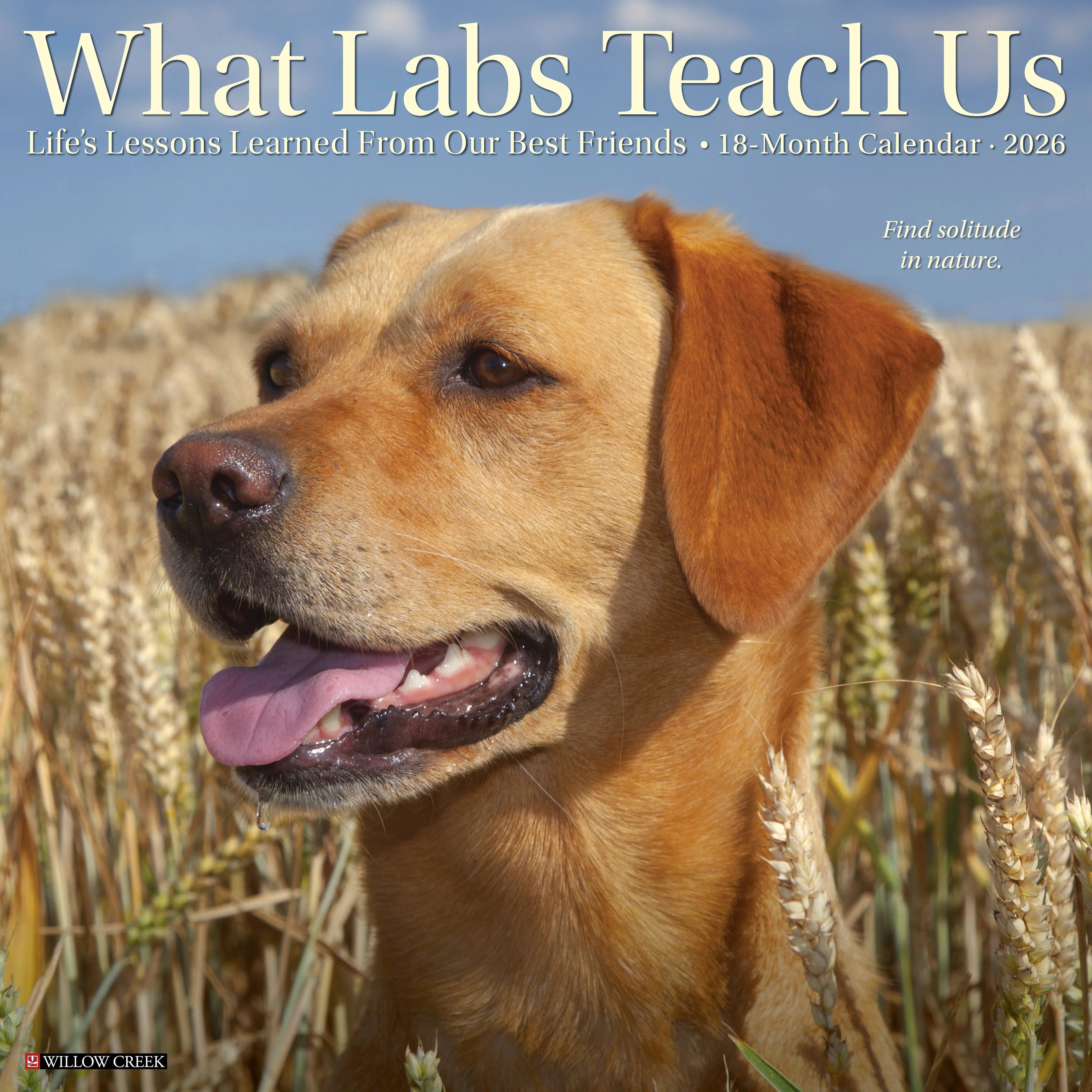 2026 What Labs Teach Us Wall Calendar 9781549253218
