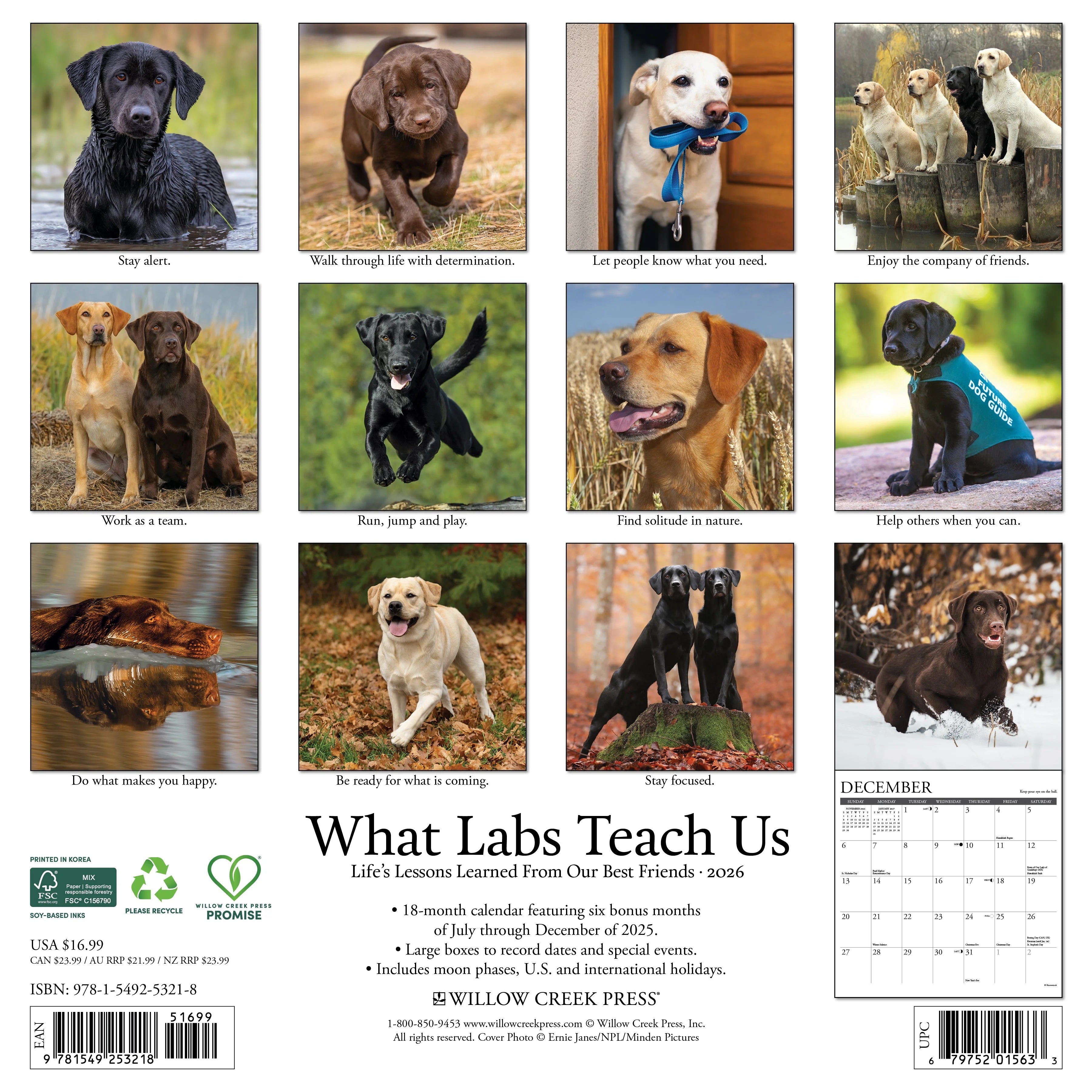 2026 What Labs Teach Us Wall Calendar 9781549253218_62de79f1-dd0c-4938-9c91-6f5b93ea95ba