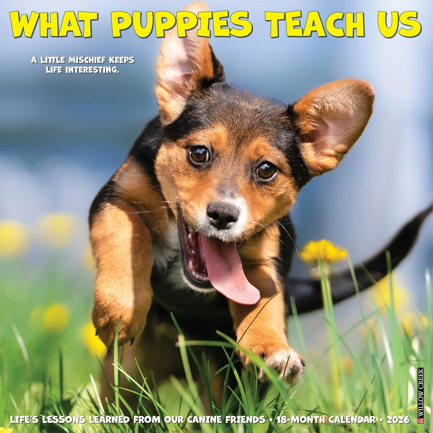 2026 What Puppies Teach Us Wall Calendar 9781549253225