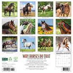 2026 Why Horses Do That Wall Calendar 9781549253263_d2bc736b-6421-4cbd-99f6-b01b210d1603
