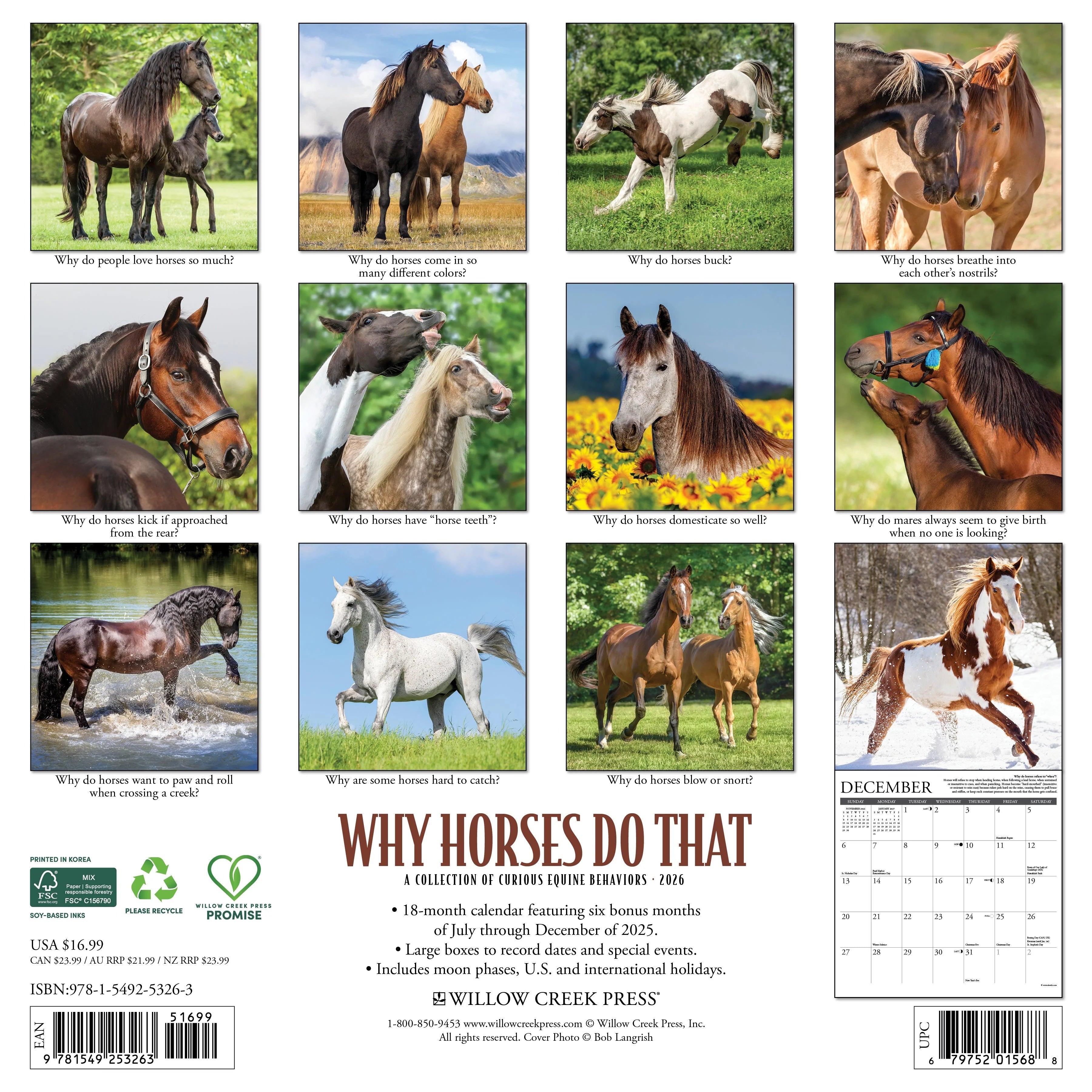 2026 Why Horses Do That Wall Calendar 9781549253263_d2bc736b-6421-4cbd-99f6-b01b210d1603