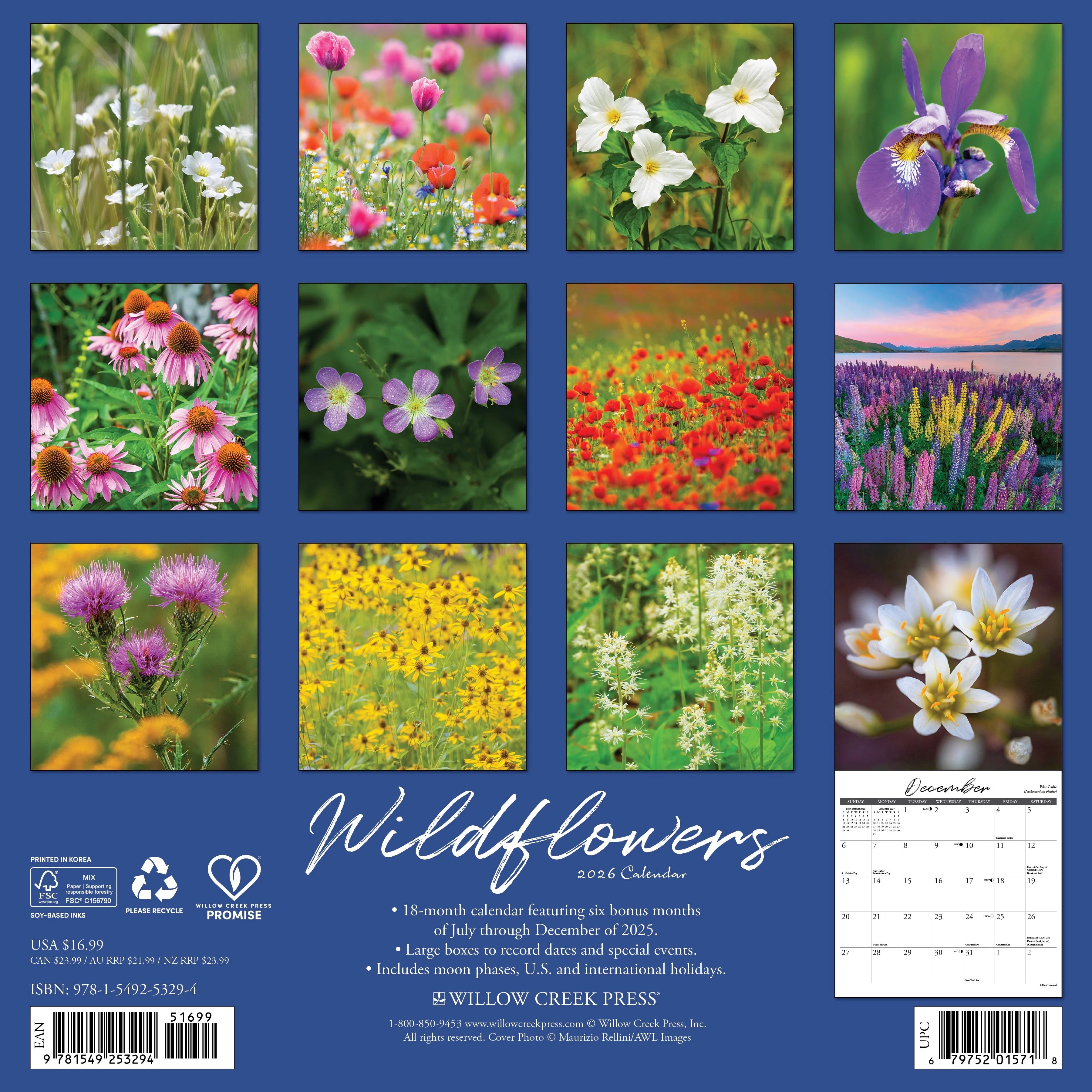 2026 Wildflowers Wall Calendar 9781549253294