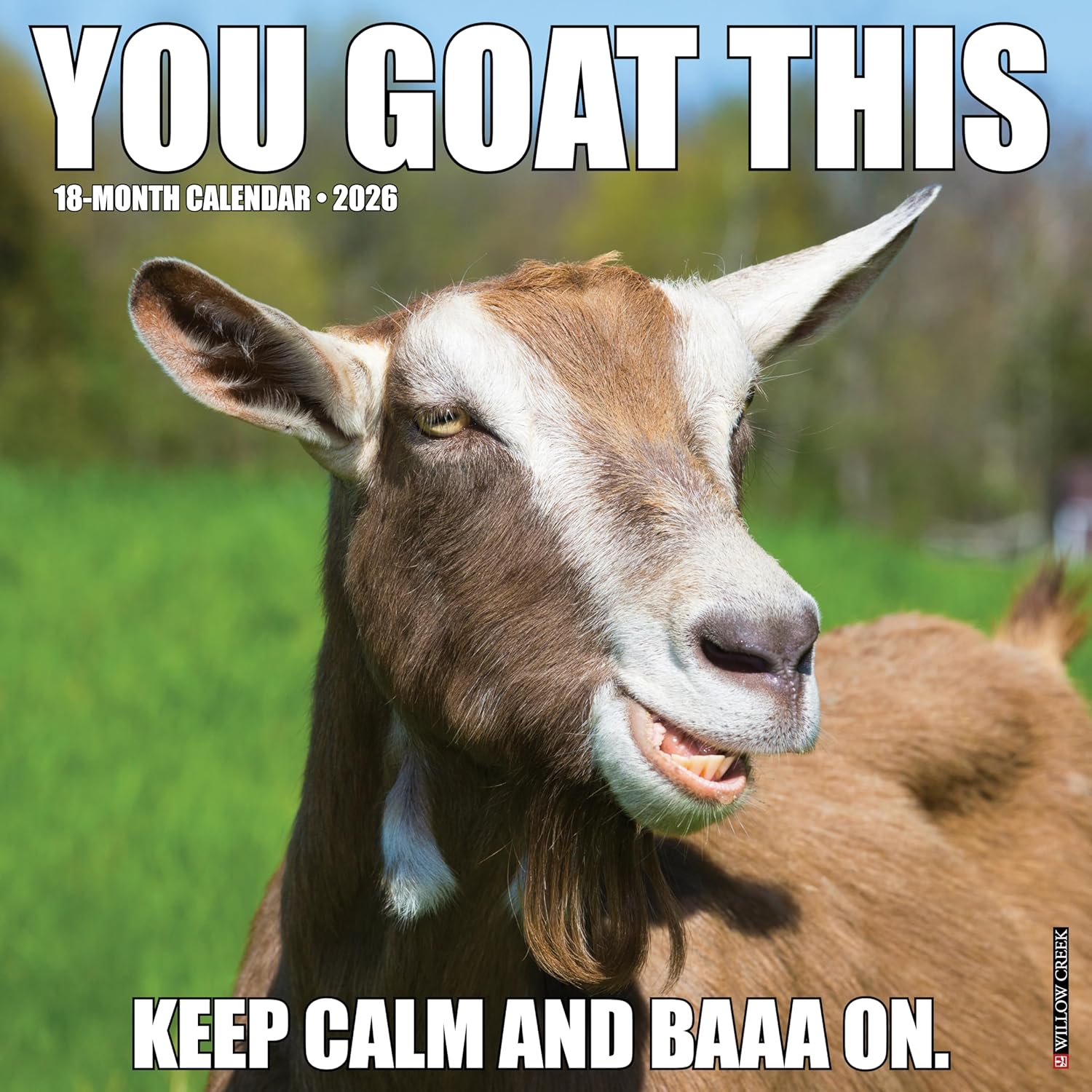 2026 You Goat This Wall Calendar 9781549253393
