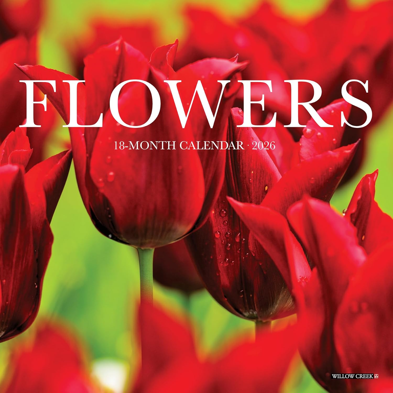 2026 Flowers 7X7 Mini Wall Calendar 9781549253584