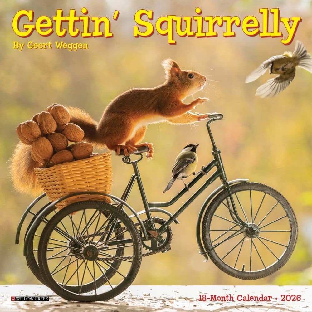 2026 Gettin' Squirrelly 7X7 Mini Wall Calendar 9781549253591