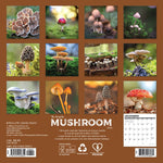2026 Mushrooms 7X7 Mini Wall Calendar 9781549253652_e0e21c0f-36a5-440b-a11f-374252c13325