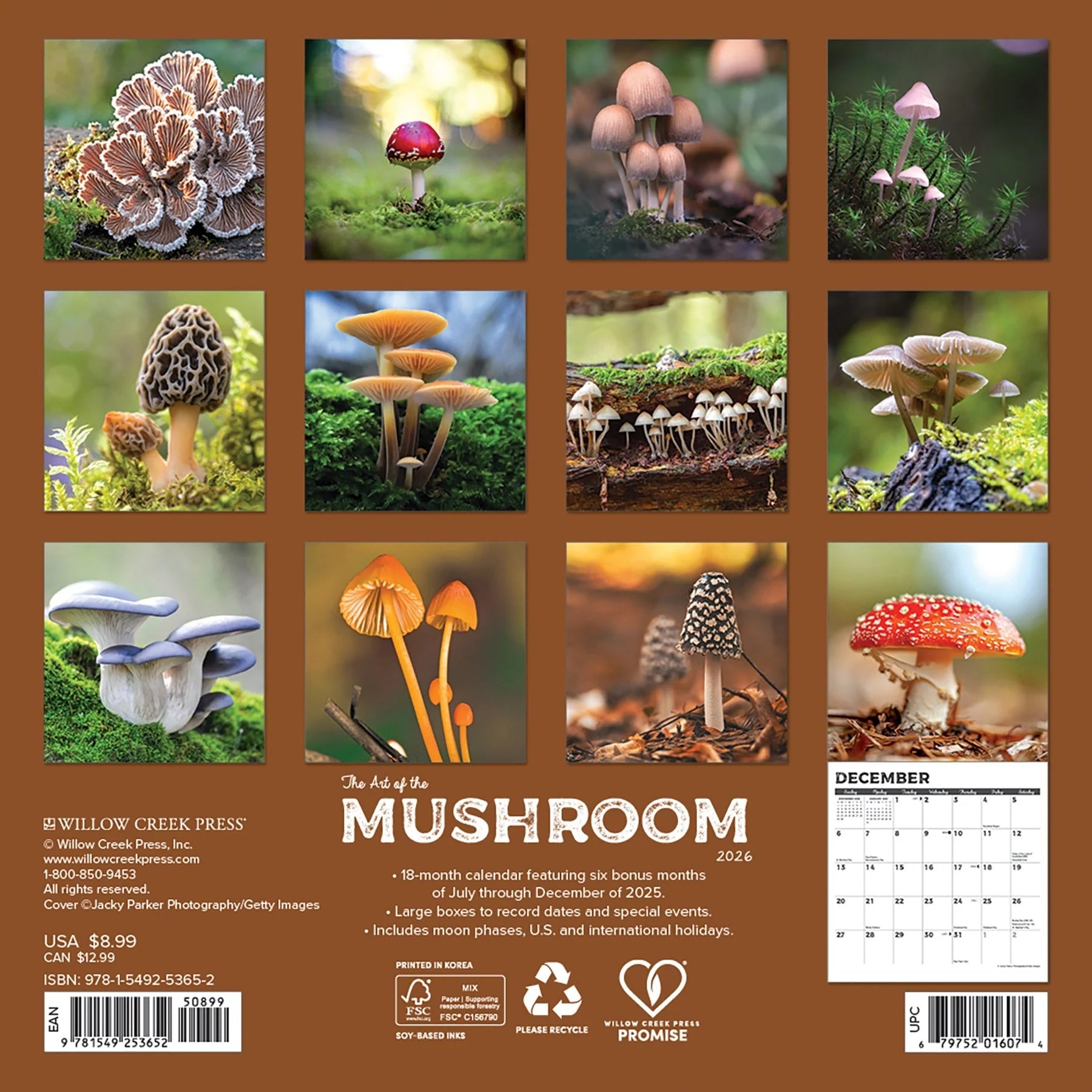 2026 Mushrooms 7X7 Mini Wall Calendar 9781549253652_e0e21c0f-36a5-440b-a11f-374252c13325