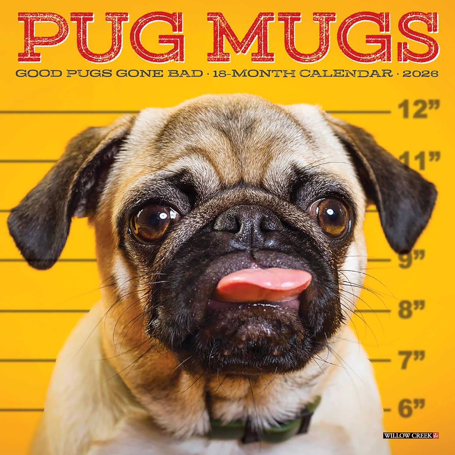 2026 Pug Mugs 7X7 Mini Wall Calendar 9781549253713