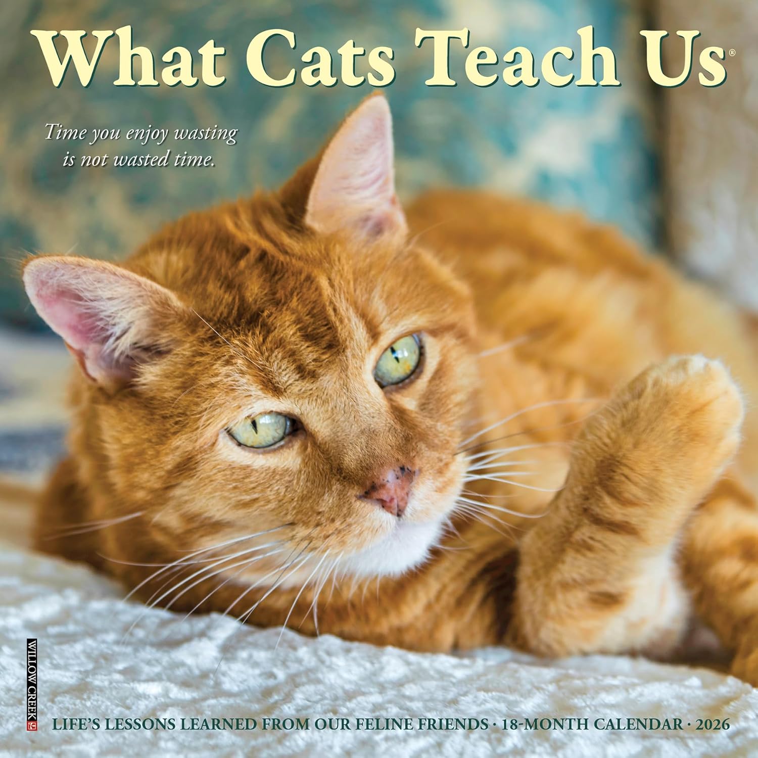 2026 What Cats Teach Us 7X7 Mini Wall Calendar 9781549253829