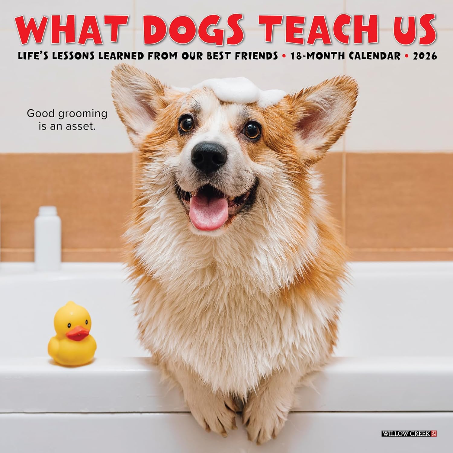 2026 What Dogs Teach Us 7X7 Mini Wall Calendar 9781549253836