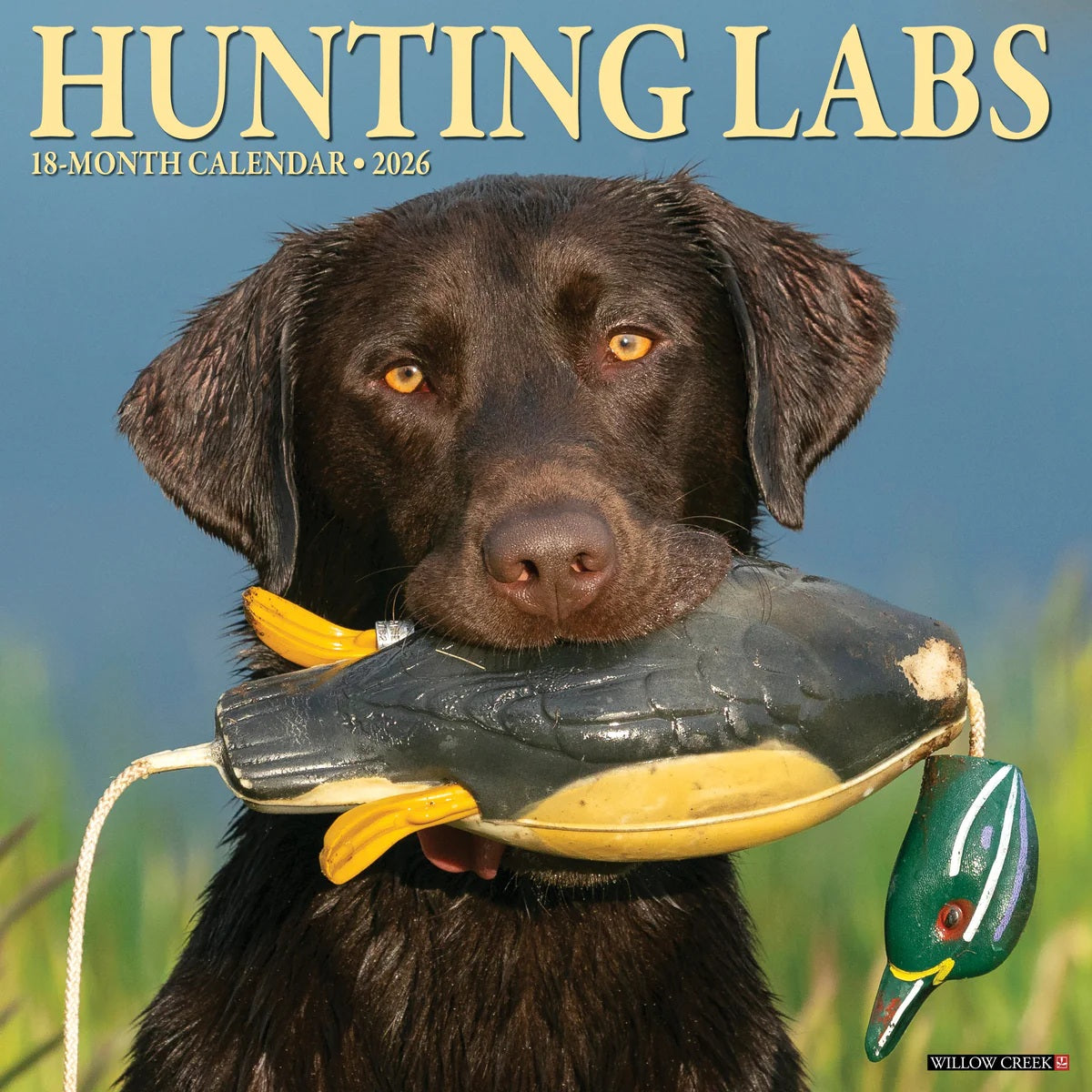 2026 Hunting Labs Wall Calendar 9781549255458
