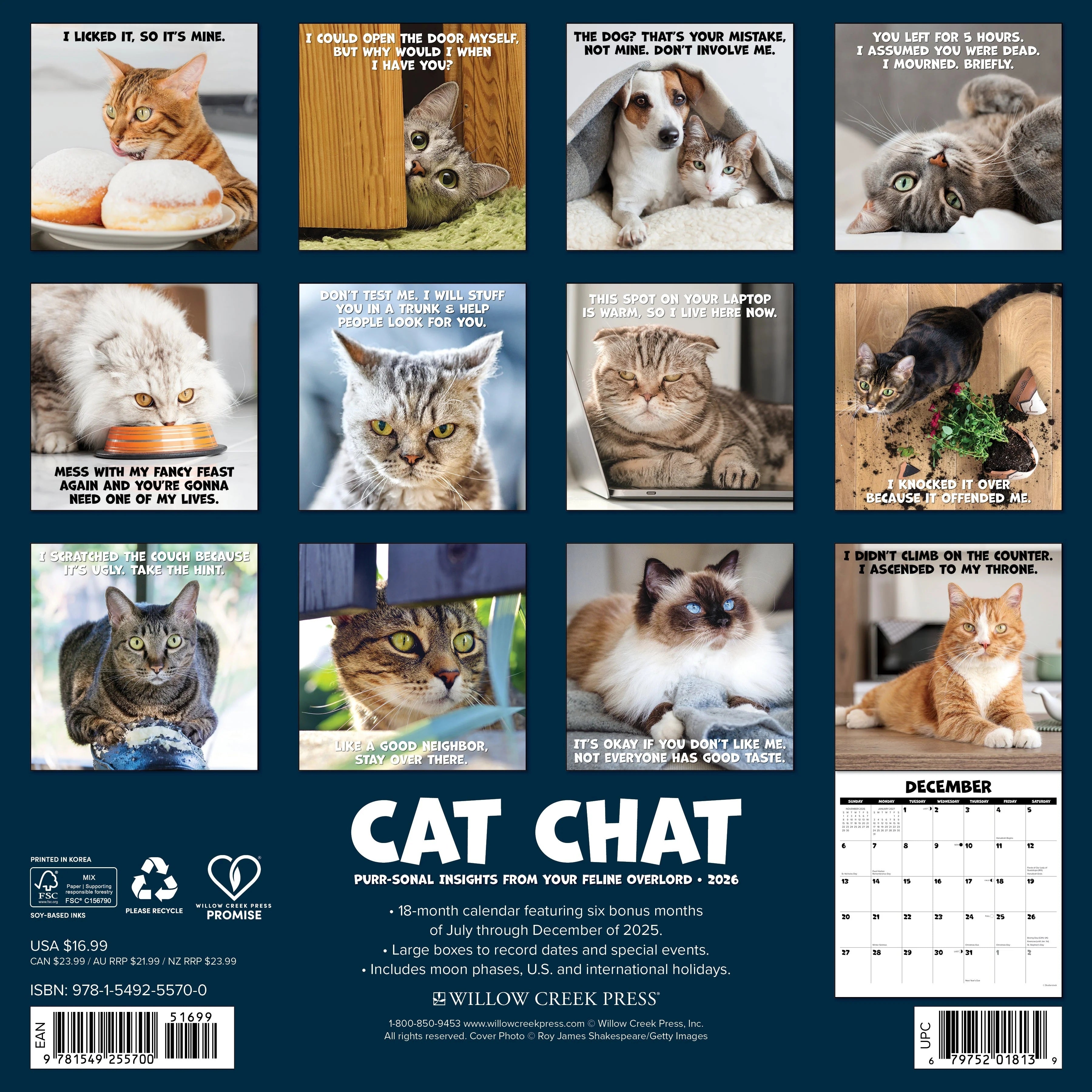 2026 Cat Chat Wall Calendar 9781549255700