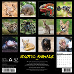 2026 Exotic Animals Wall Calendar 9781549255779