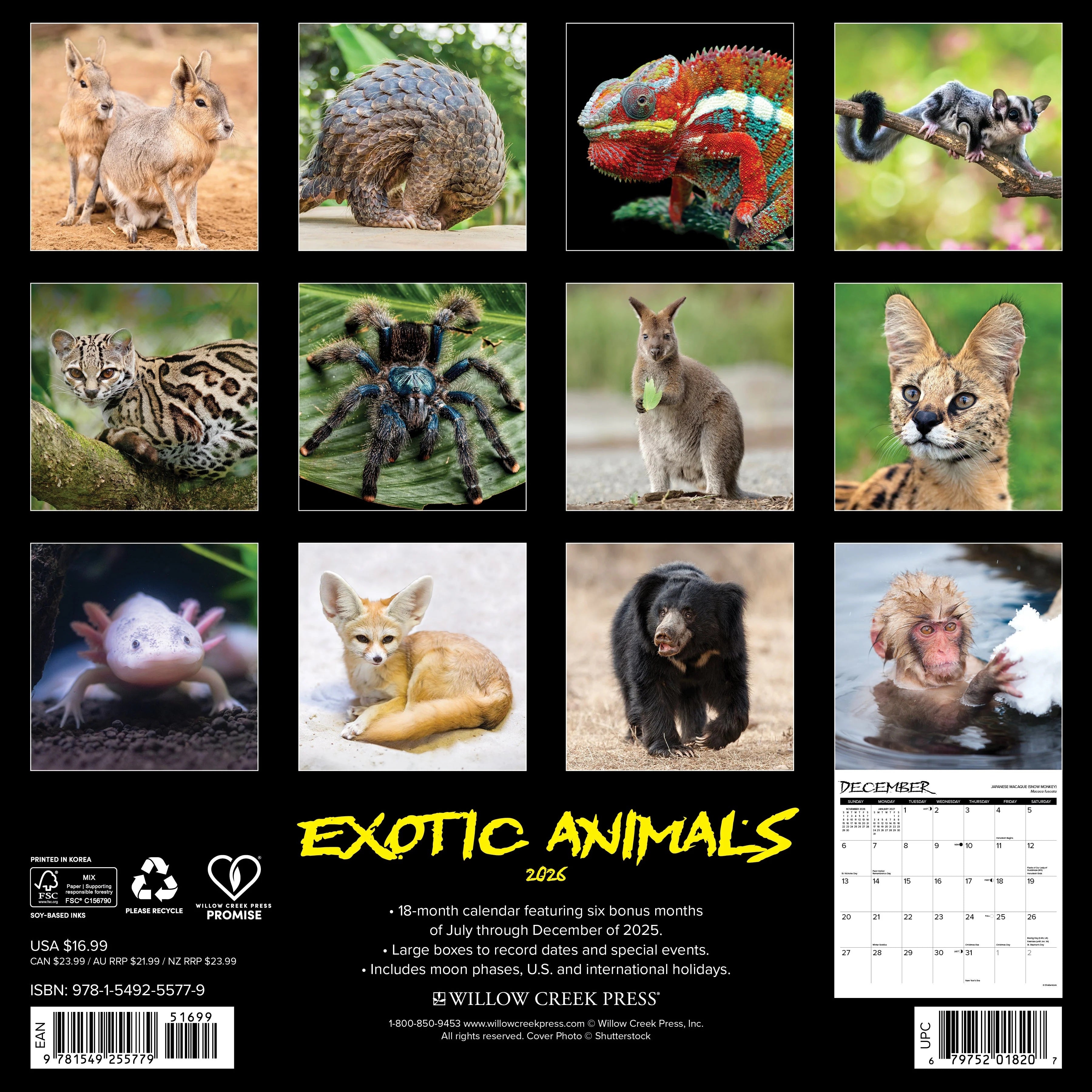 2026 Exotic Animals Wall Calendar 9781549255779