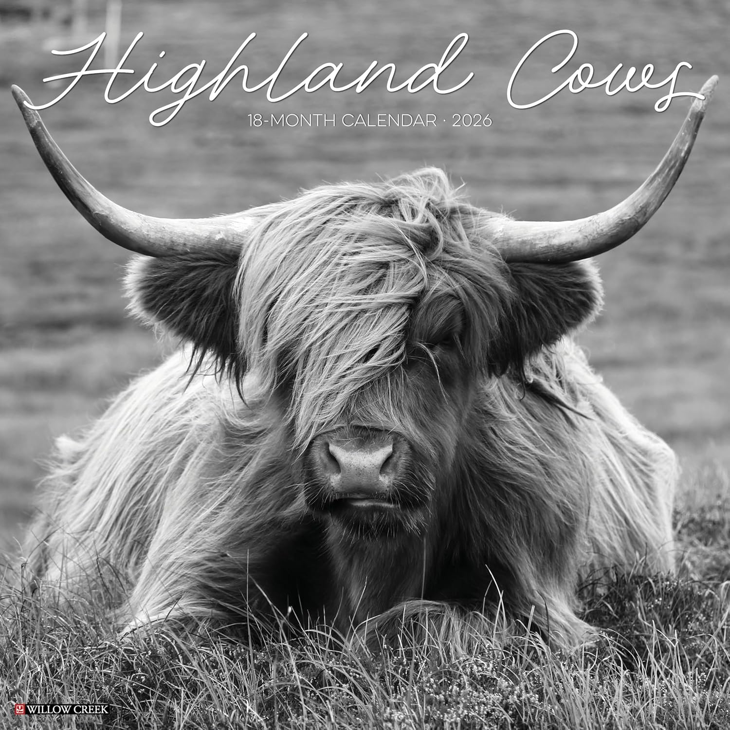 2026 Highland Cows (Black & White) Wall Calendar 9781549255847