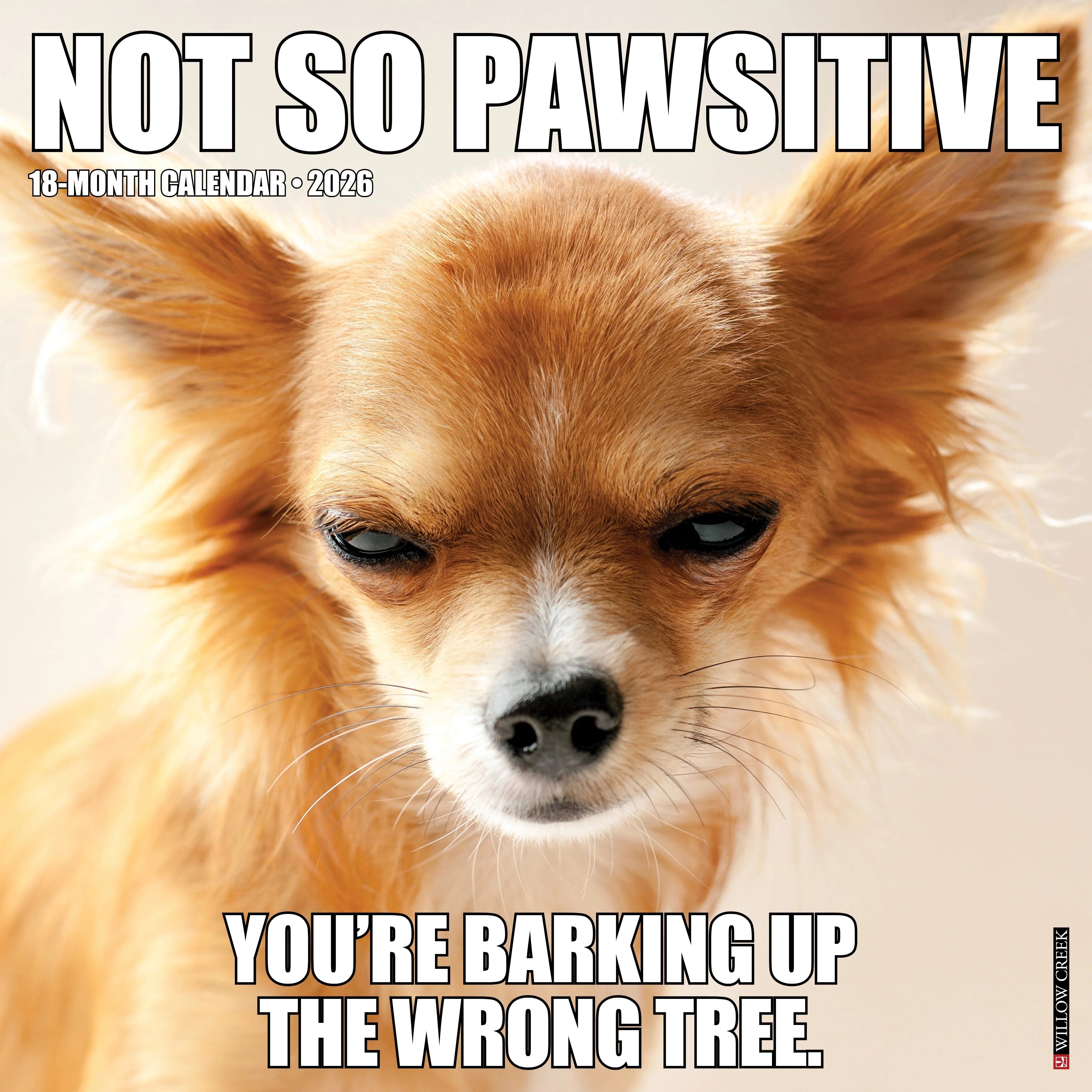 2026 Not So Pawsitive 12X12 Wall Calendar 9781549256011