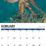 2026 Octopus Wall Calendar 9781549256028_1