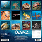 2026 Octopus Wall Calendar 9781549256028_5510ffad-d9cf-4cfe-98fb-29fcef4e8fb0