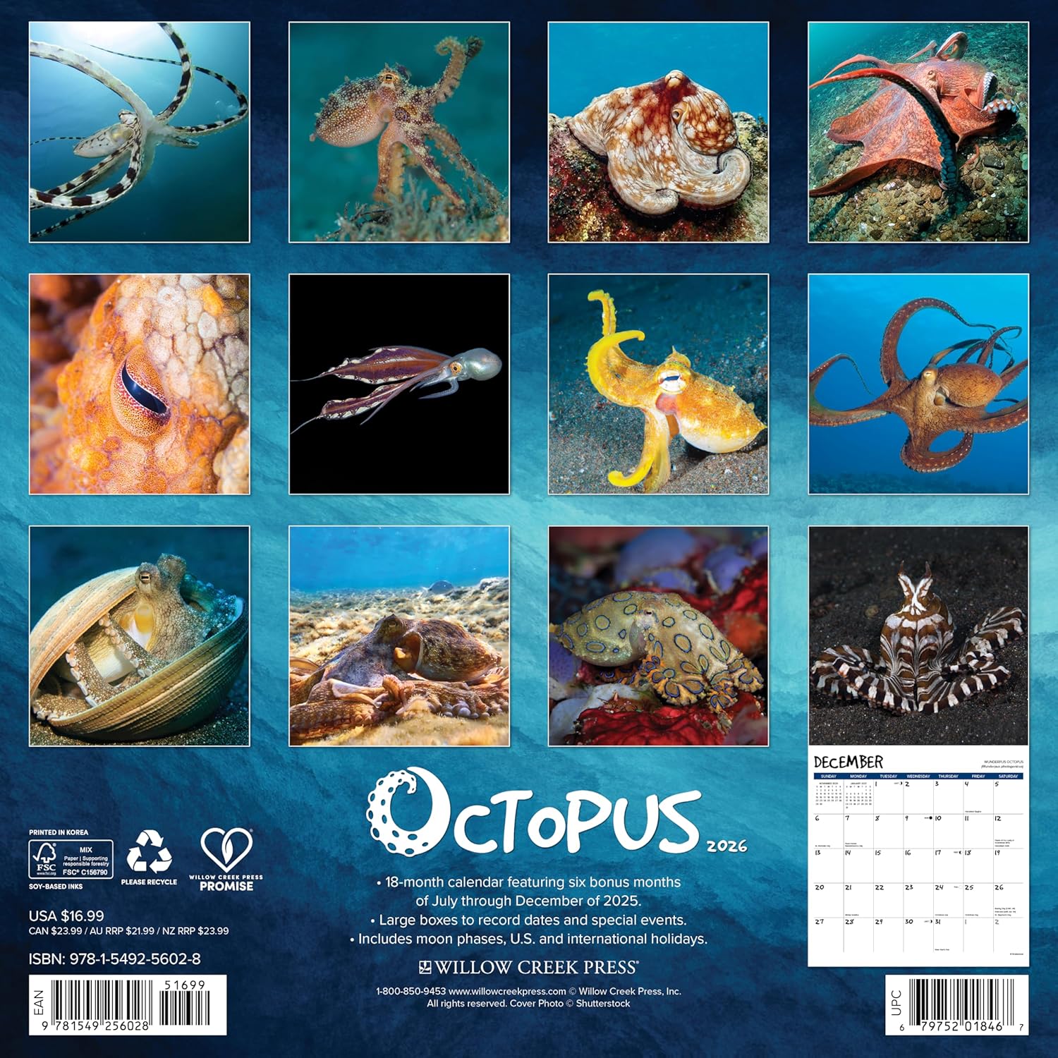 2026 Octopus Wall Calendar 9781549256028_5510ffad-d9cf-4cfe-98fb-29fcef4e8fb0