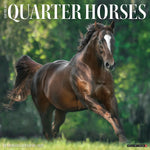 2027 American Quarter Horses Wall Calendar 12X12 20 9781549258763